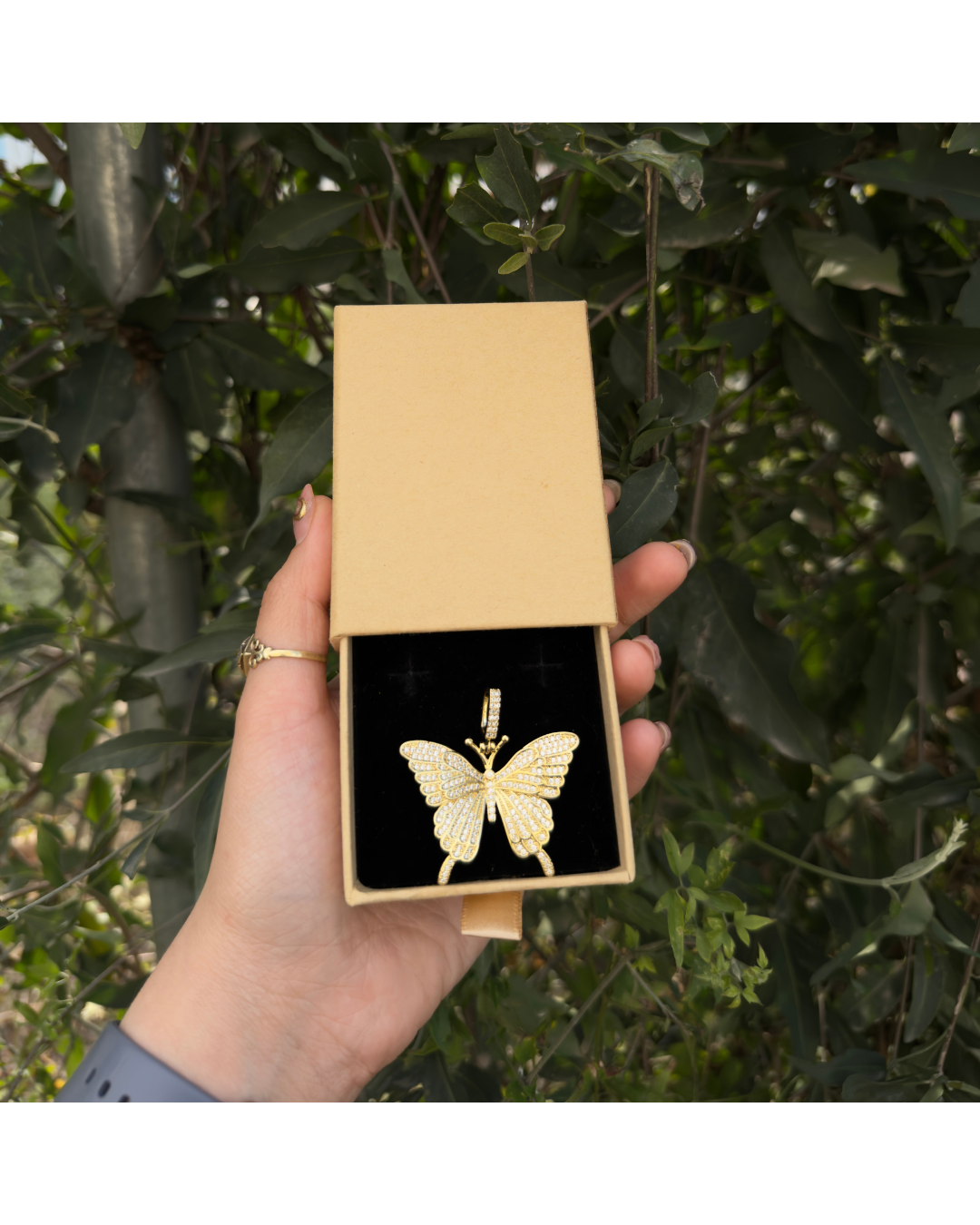 Dije mariposa✨