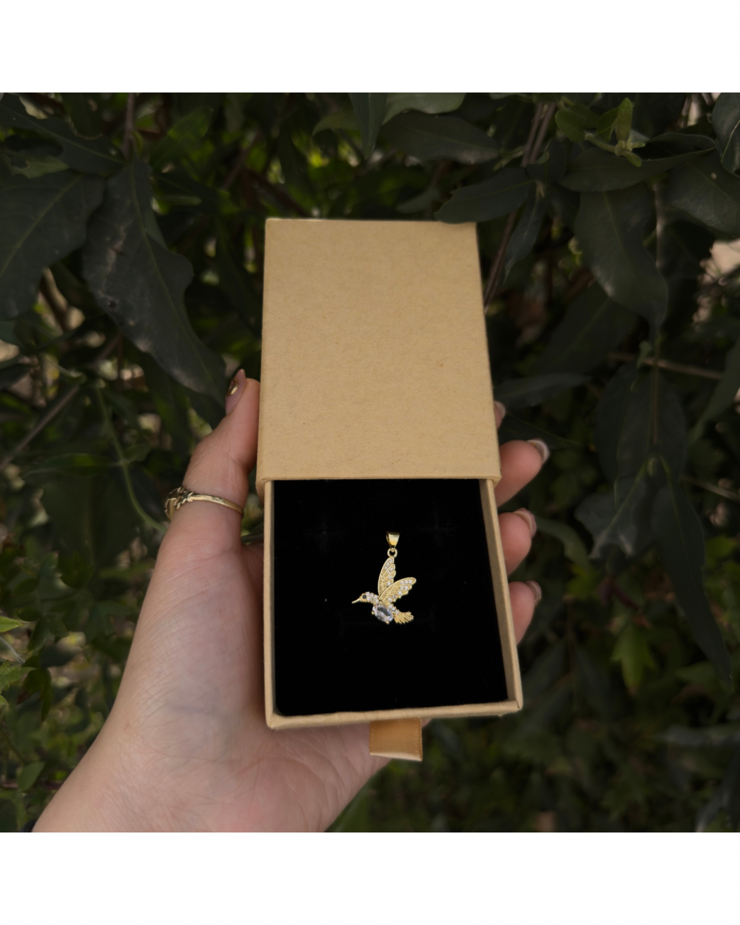 Dije Colibri ✨