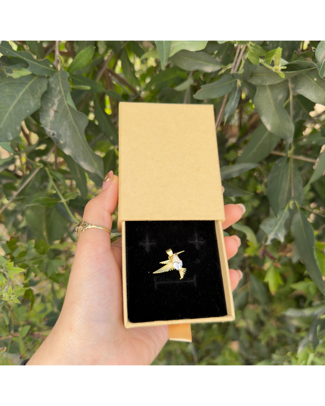 Dije Colibri ✨