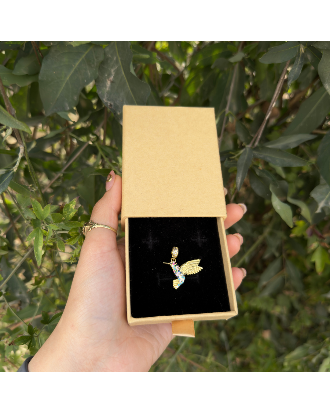 Dije Colibri ✨