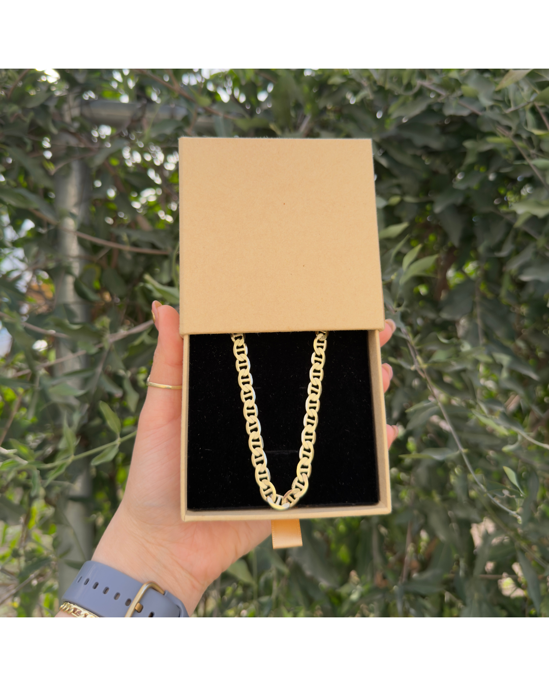 Cadena Gucci