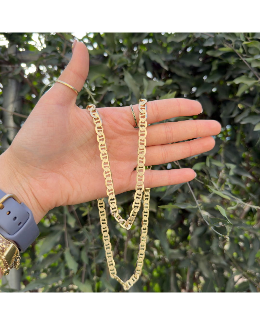 Cadena Gucci