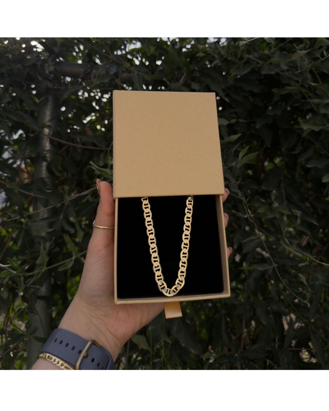 Cadena Gucci