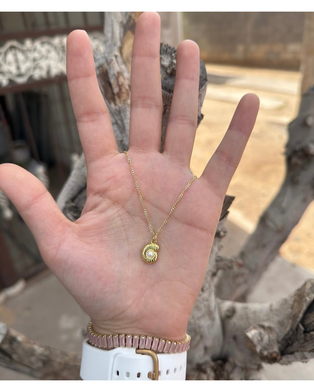 Cadena con dije concha✨